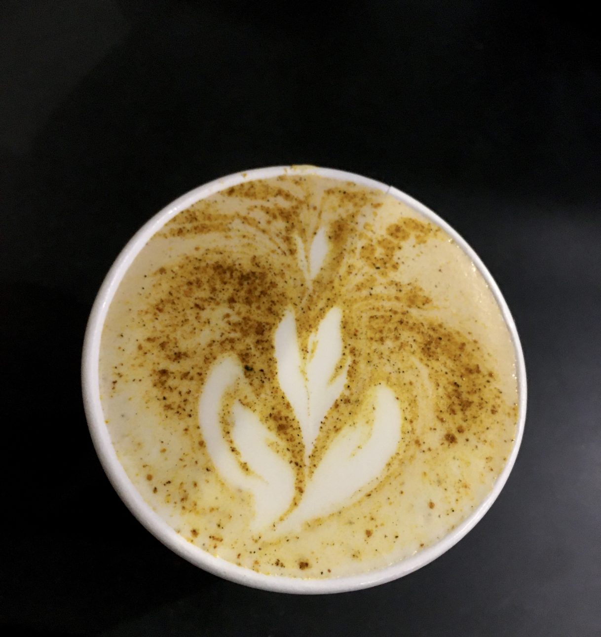 Pumpkin Chai Latte at Cup & Saucer Brevard, North Carolina 10/30/2019 SPG Family Adventure