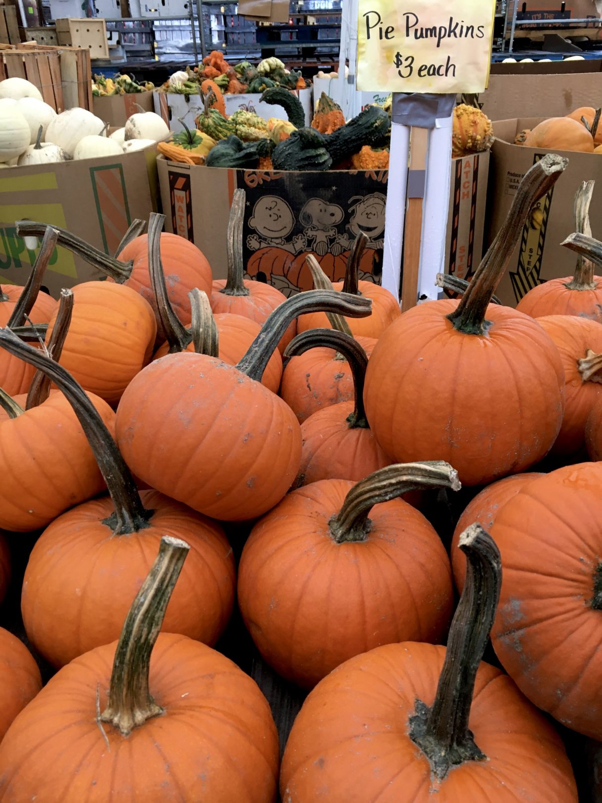 WNC Farmer's Market - Asheville, North Carolina - 10/30/2019 - SPG ...