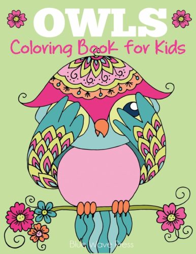 Homeschoolers homeschooling family travel adventure things to do with kids toddlers teens spgfan smiles per gallon teaching at home owls birds of prey life science biology books videos toys games puzzles coloring books painting art reading nature media free recommended resources
