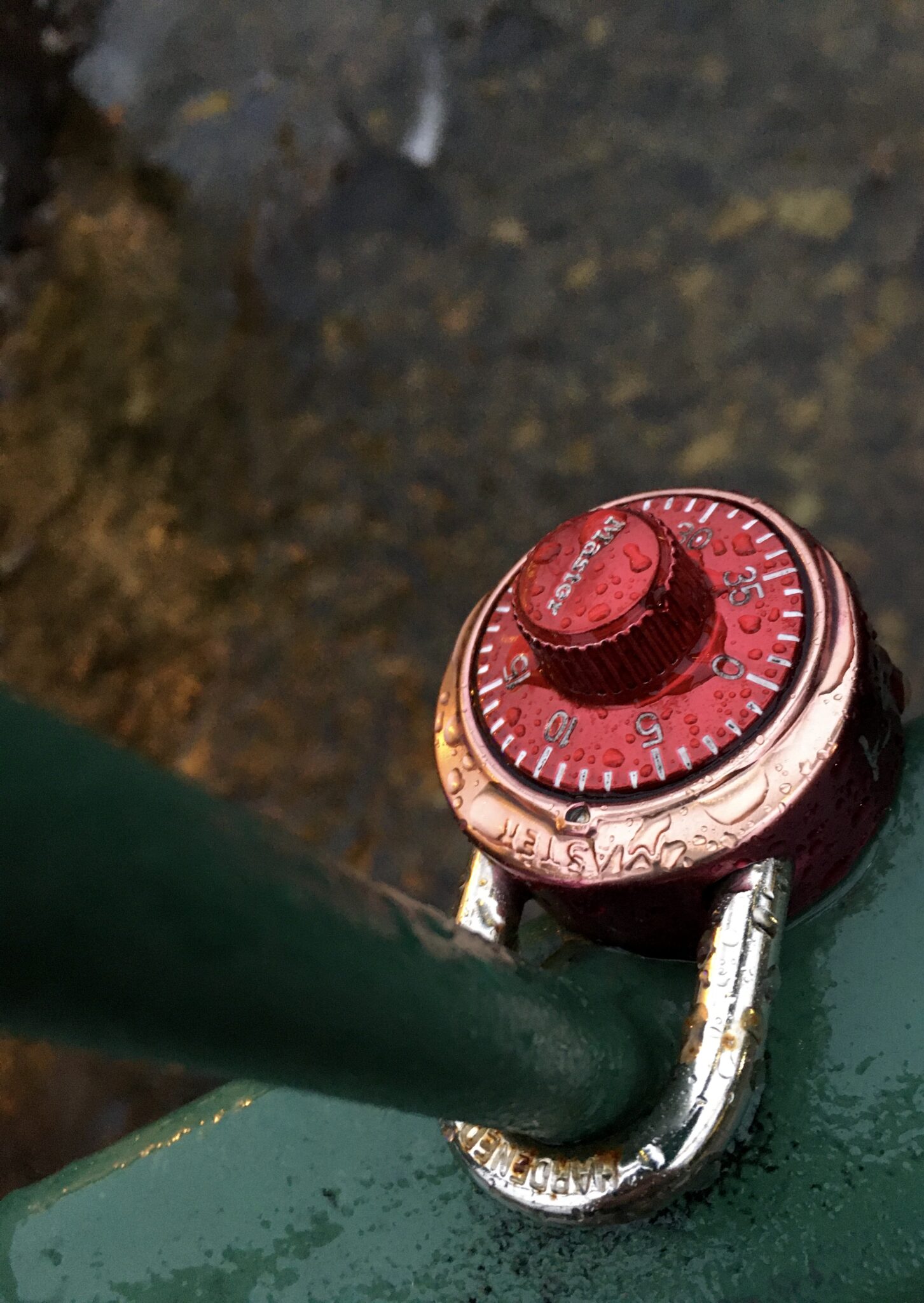 Love Locks on the Chattahoochee River Helen, 02/12/2021