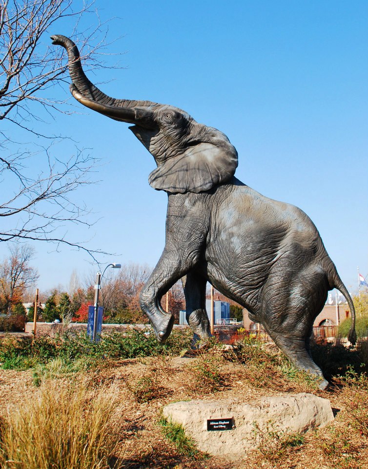 The St. Louis Zoo – Animals and Lights – St. Louis, Missouri – 11/20 ...