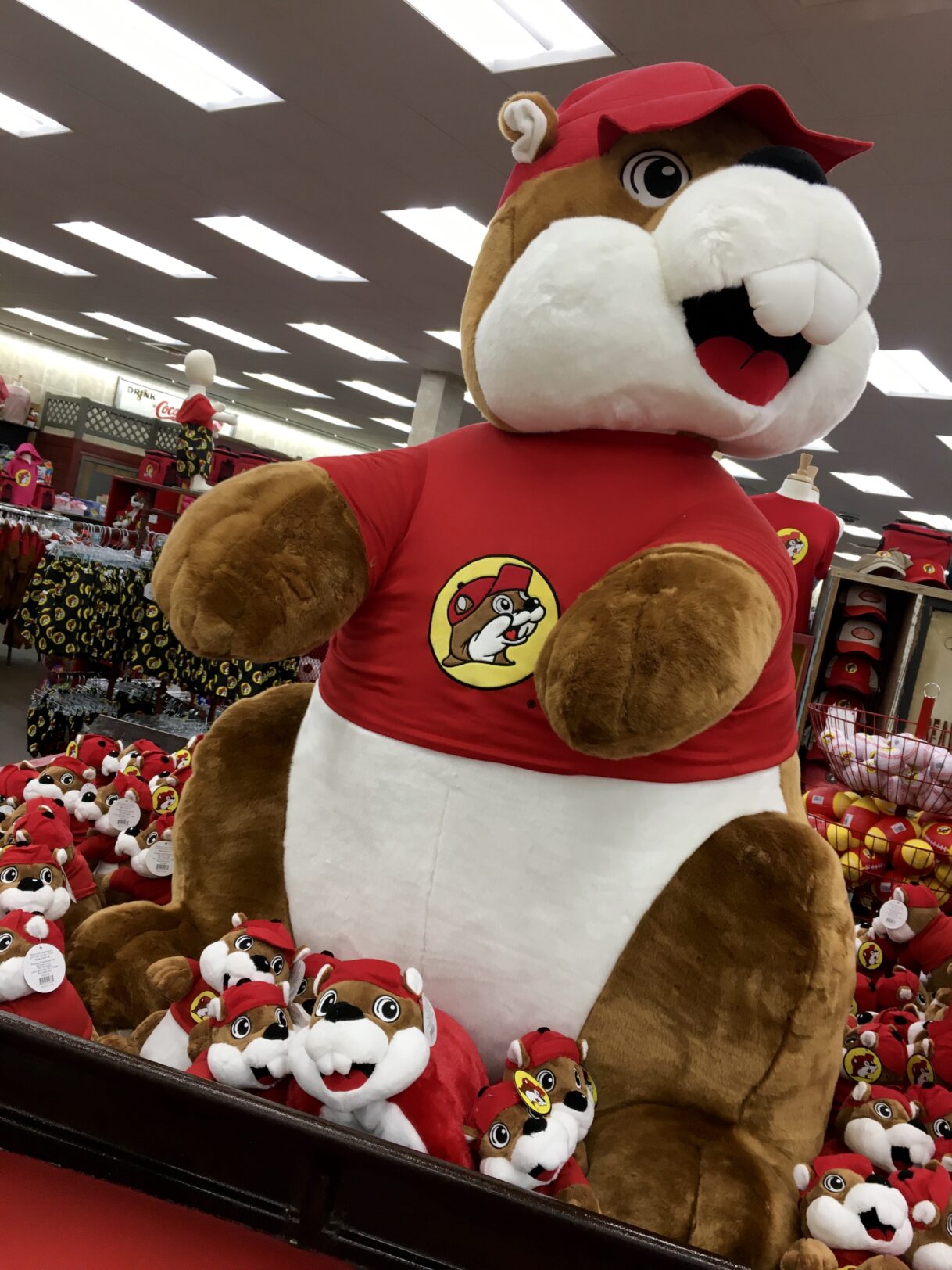 A “Little” Gas Station with a BIG Cult Following! It’s Buc-ee’s! – Fort ...