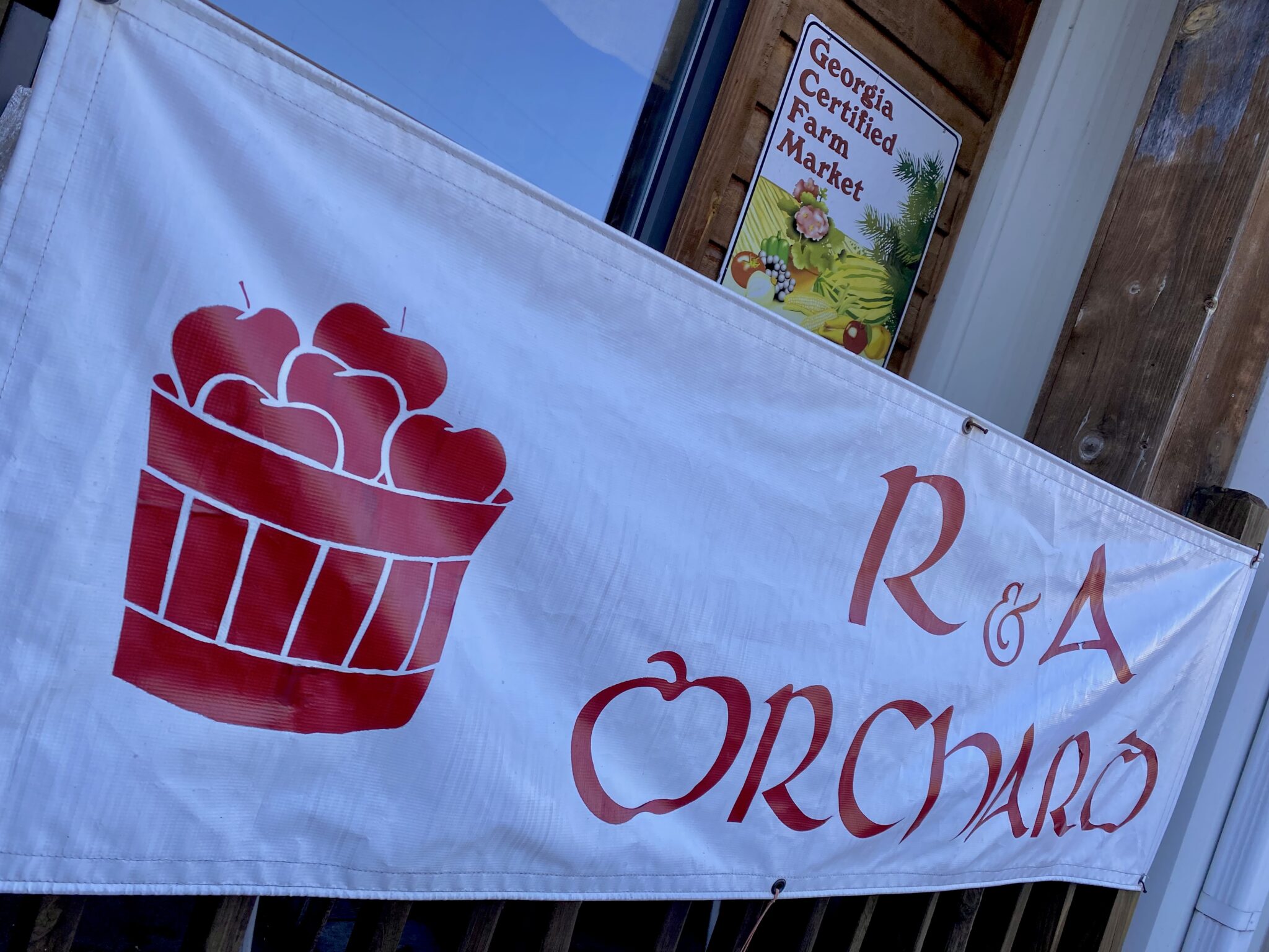 Apple Season in North R&A Orchards Ellijay, 11/12