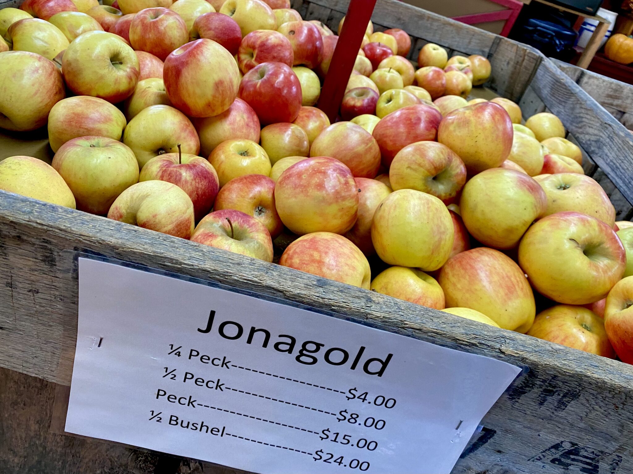 Apple Season in North Aaron Family Orchards Ellijay,