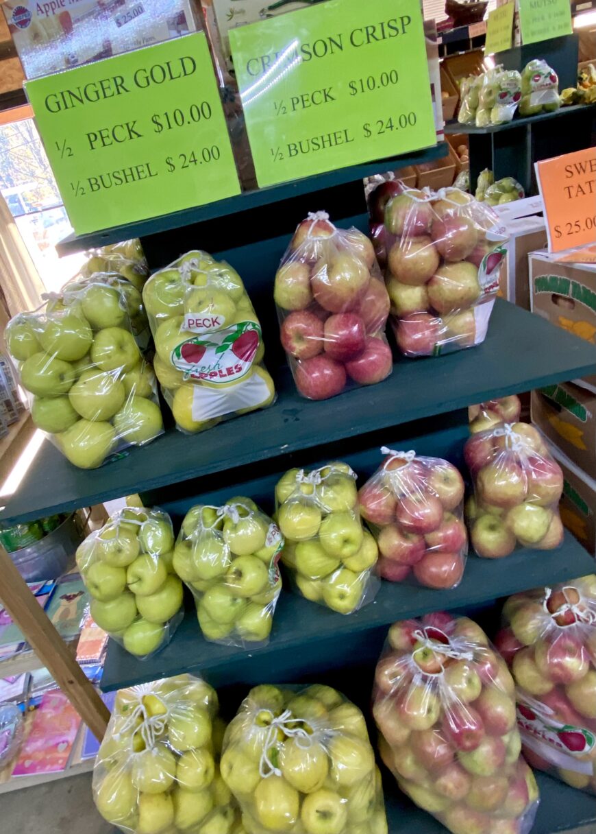 Apple Season in North Mack Aaron’s Apple House Ellijay