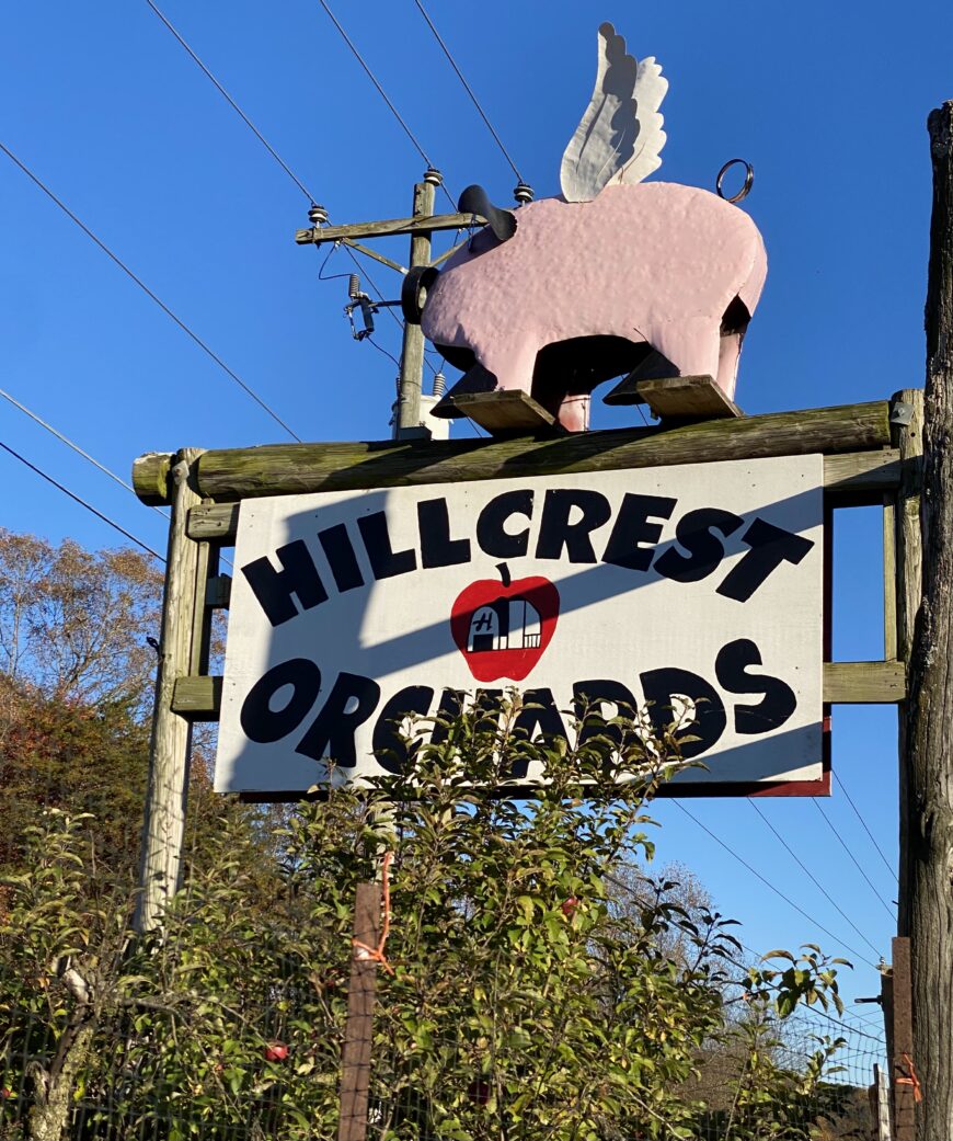 Apple Season in North Hillcrest Orchards Ellijay,