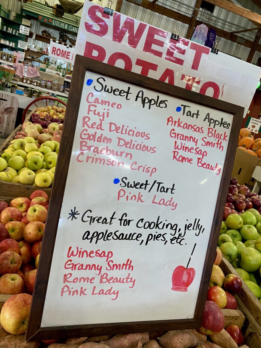 Apple Season in North Hillcrest Orchards Ellijay,
