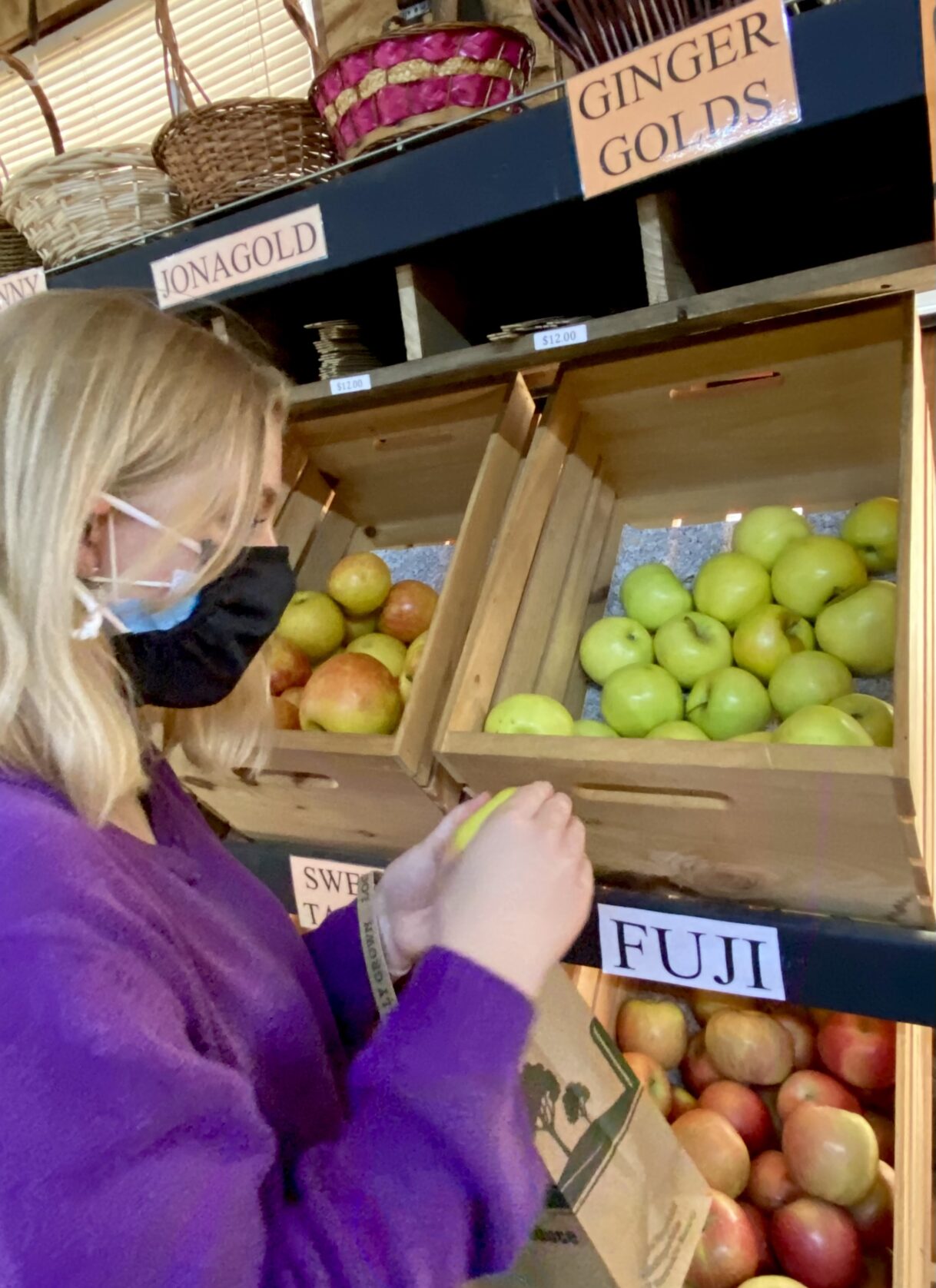 Apple Season in North Mack Aaron’s Apple House Ellijay