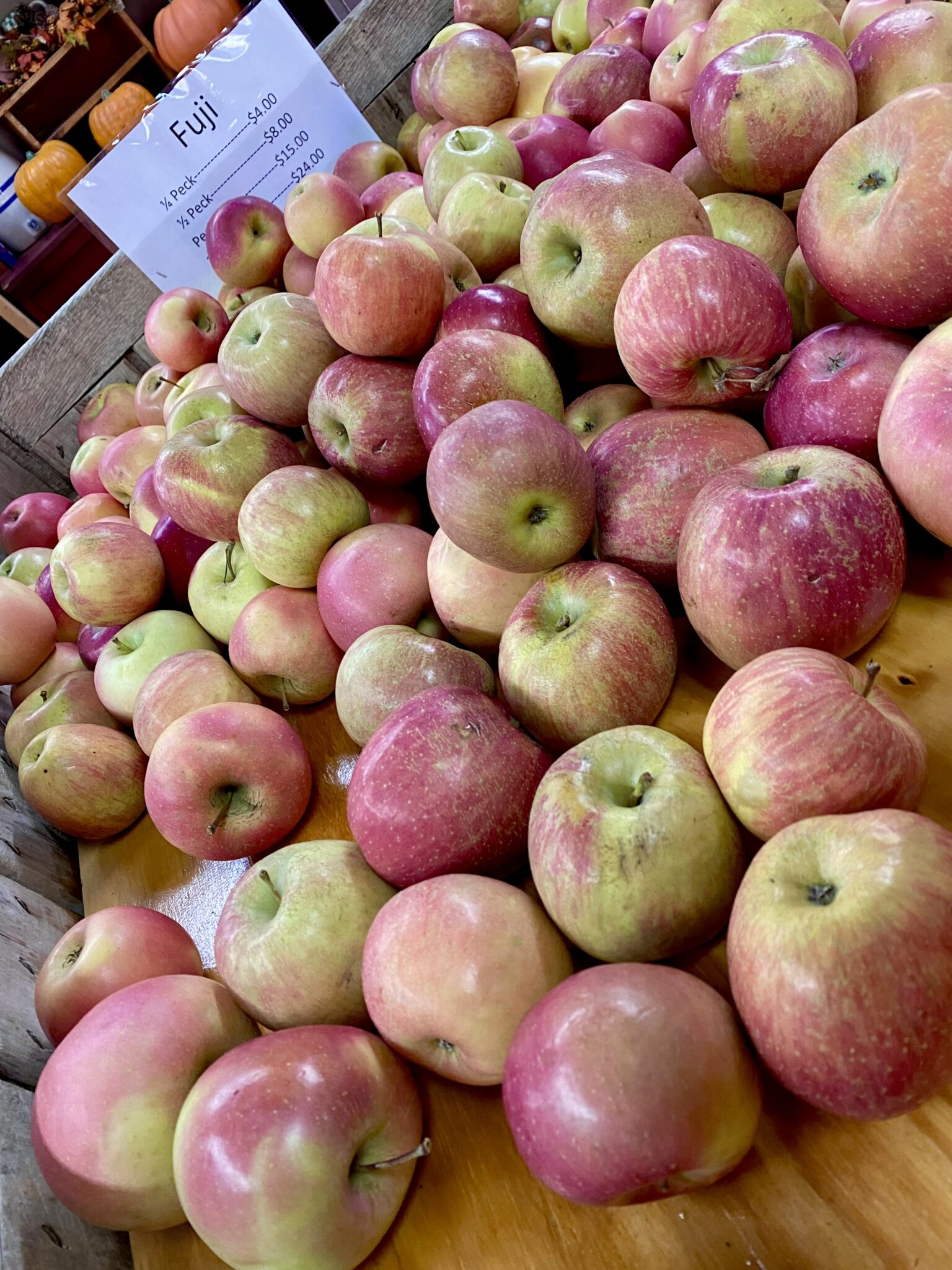 Apple Season in North Aaron Family Orchards Ellijay,