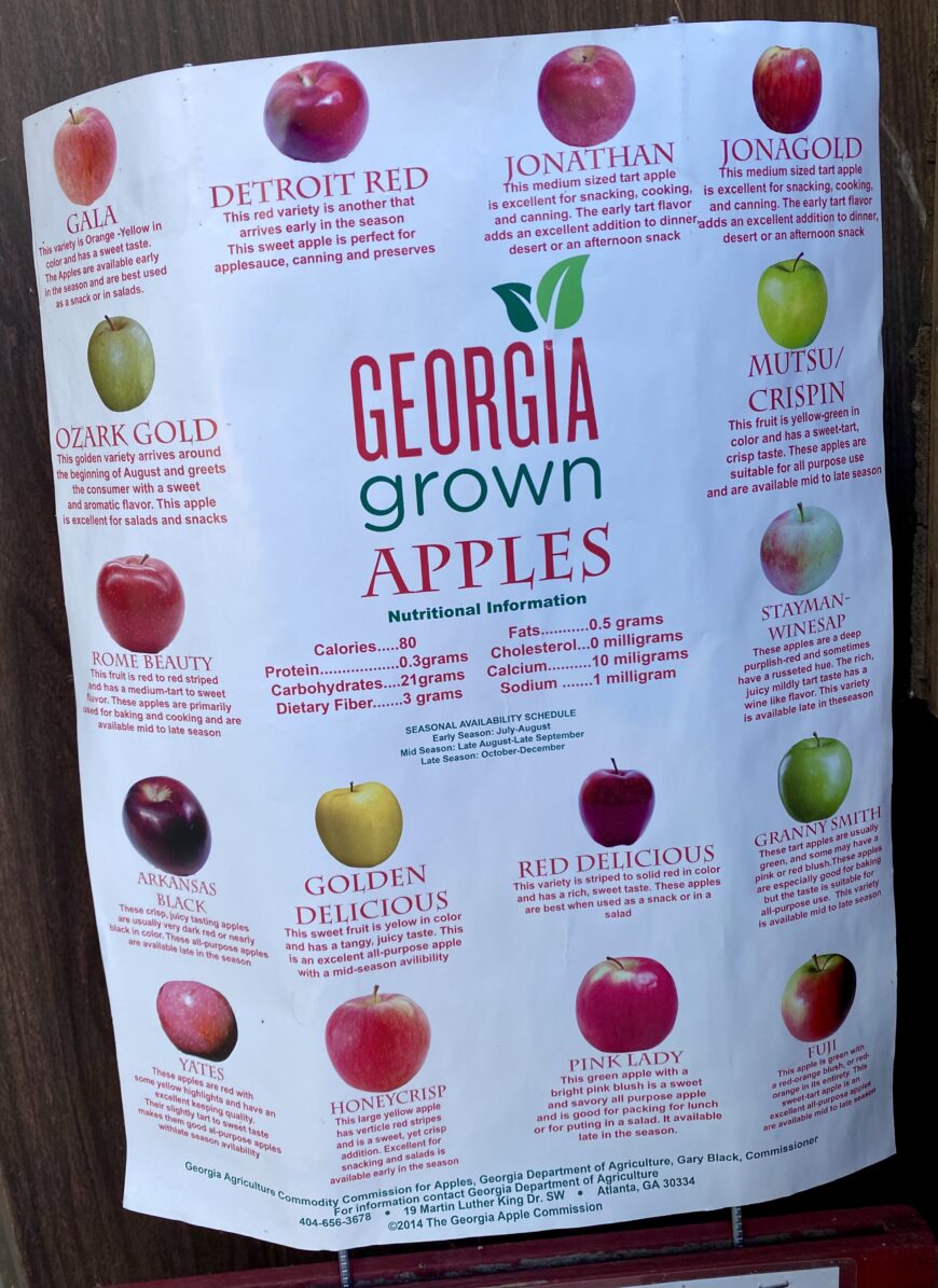 Apple Season in North Aaron Family Orchards Ellijay,