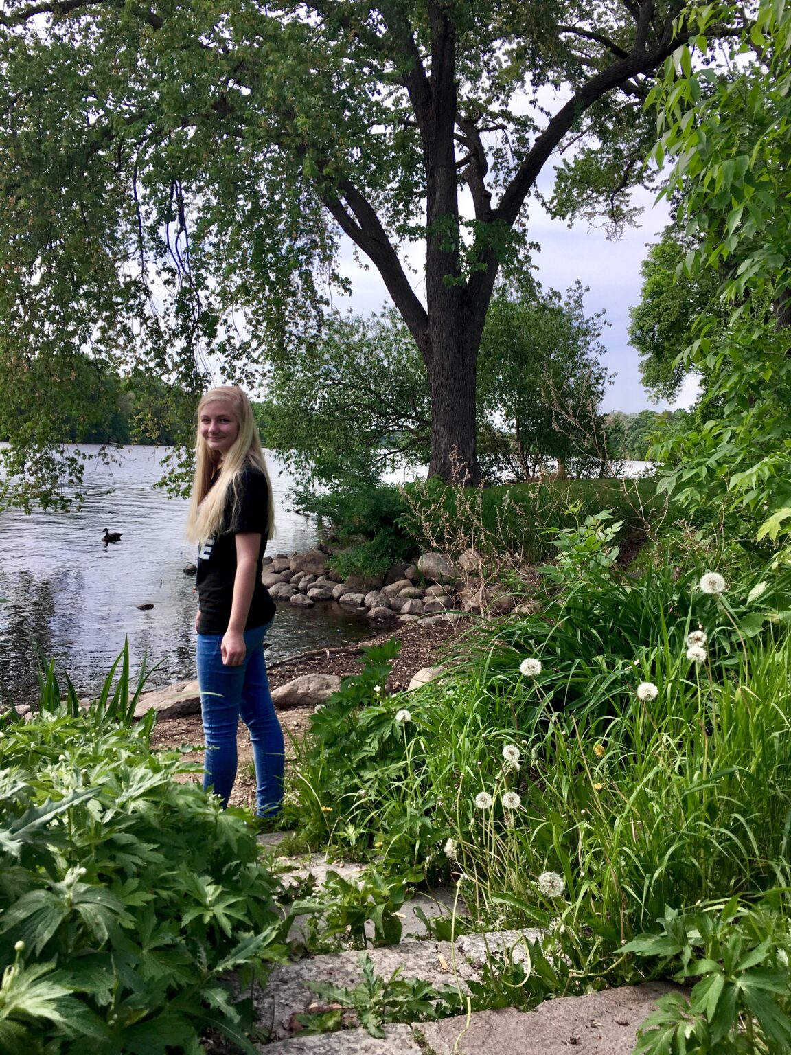 Mississippi River Rock Star Munsinger Gardens on the River St