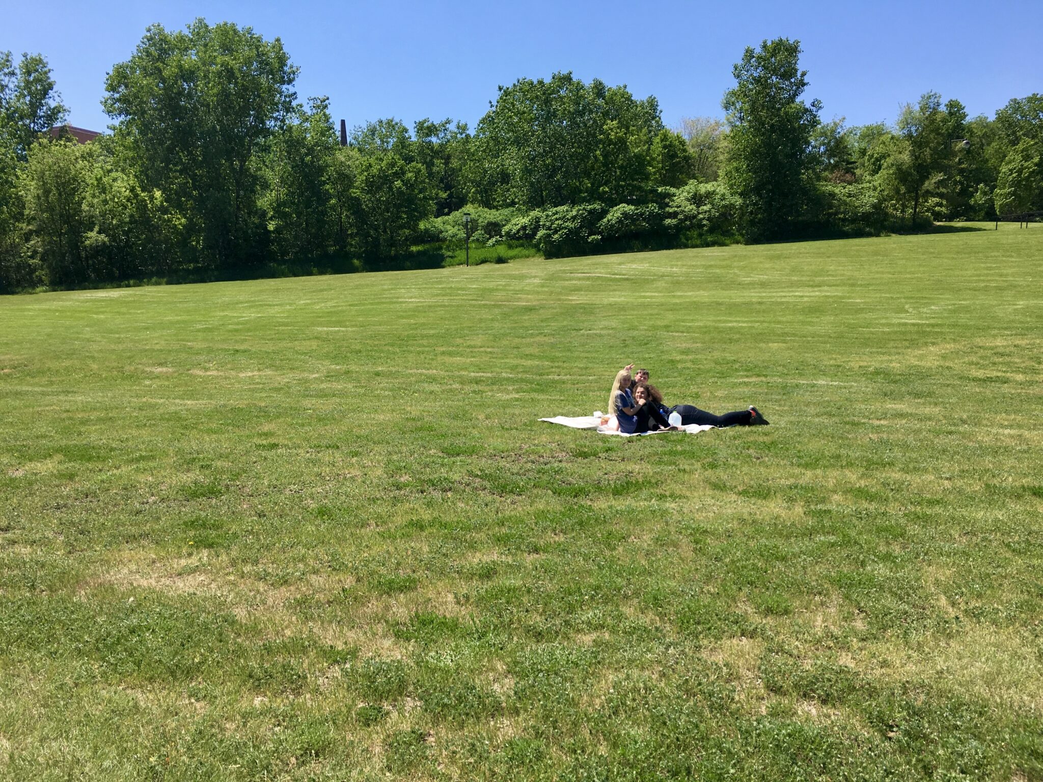 Picnics and Paddlewheelers Bohemian Flats Park Minneapolis