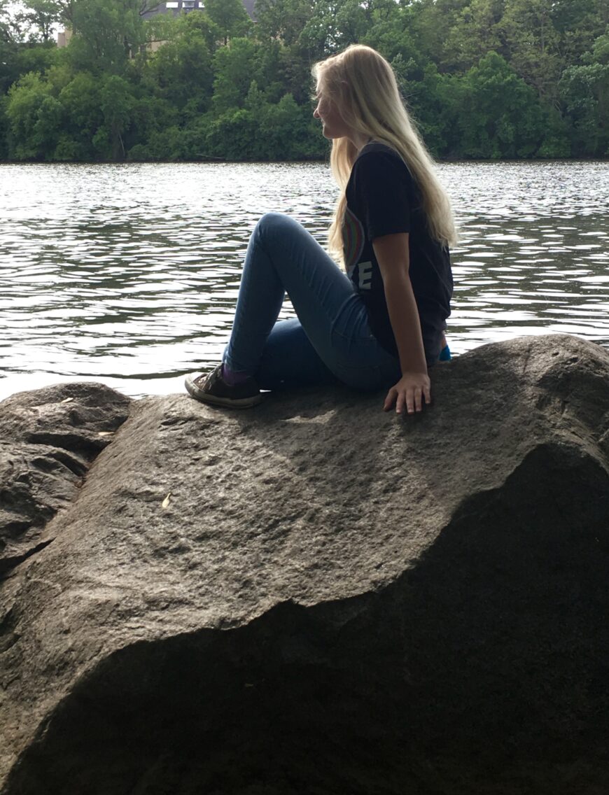 Mississippi River Rock Star – Munsinger Gardens on the River – St ...